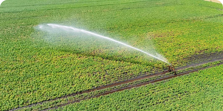 Save Time with an Automatic Irrigation System