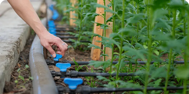 What Determines the Cost of an Automatic Irrigation System and How Is It Calculated?